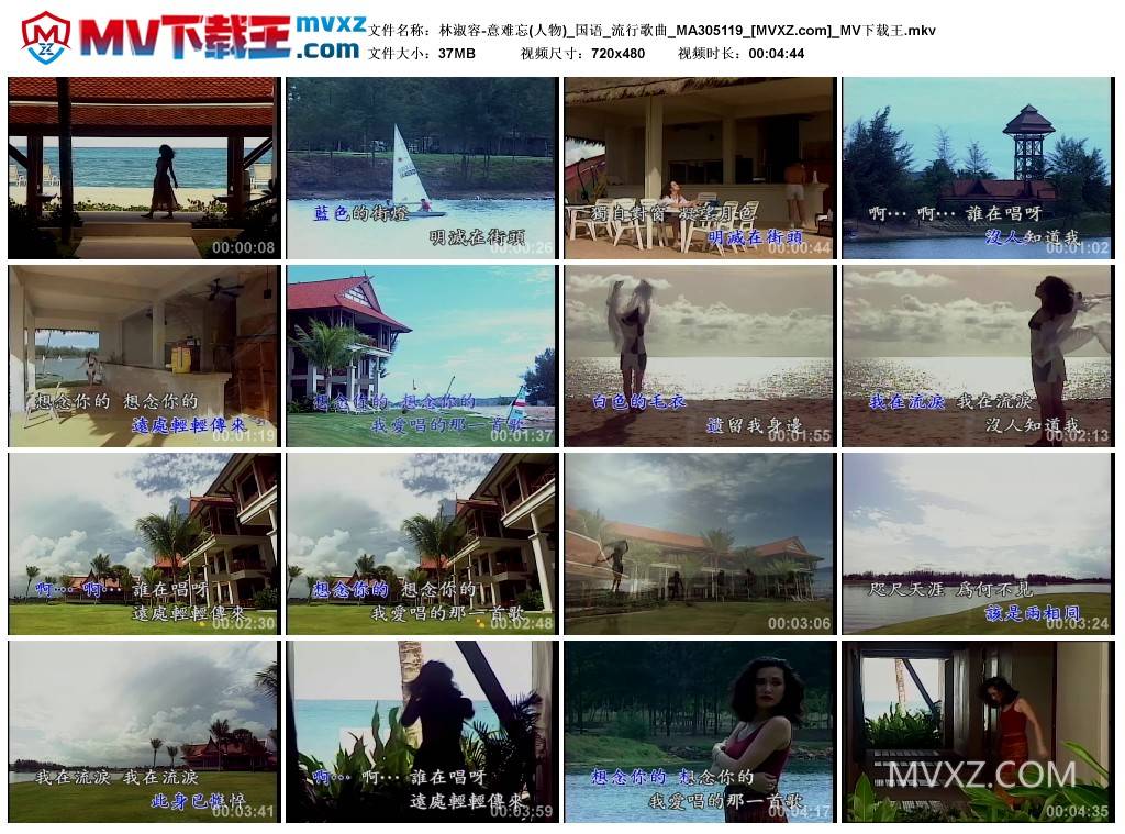 林淑容-意难忘(人物)_国语_流行歌曲_MA305119